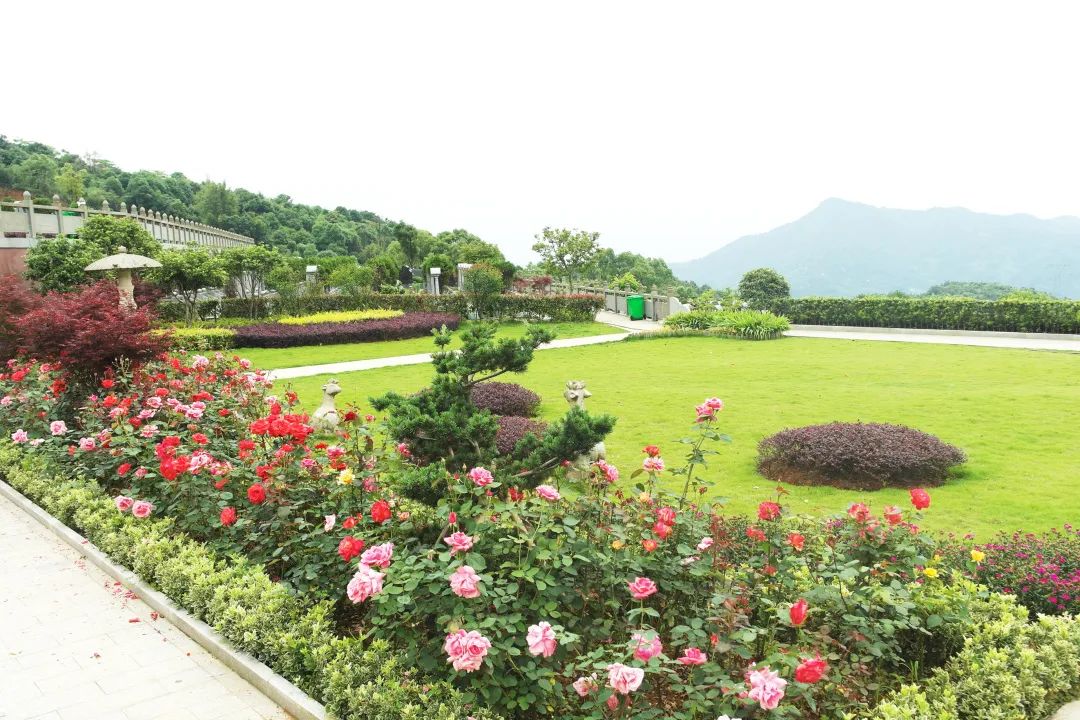 欧博abg(Allbet)官网登录入口