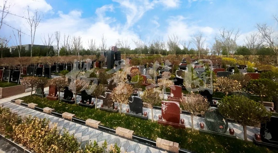 欧博abg(Allbet)官网登录入口