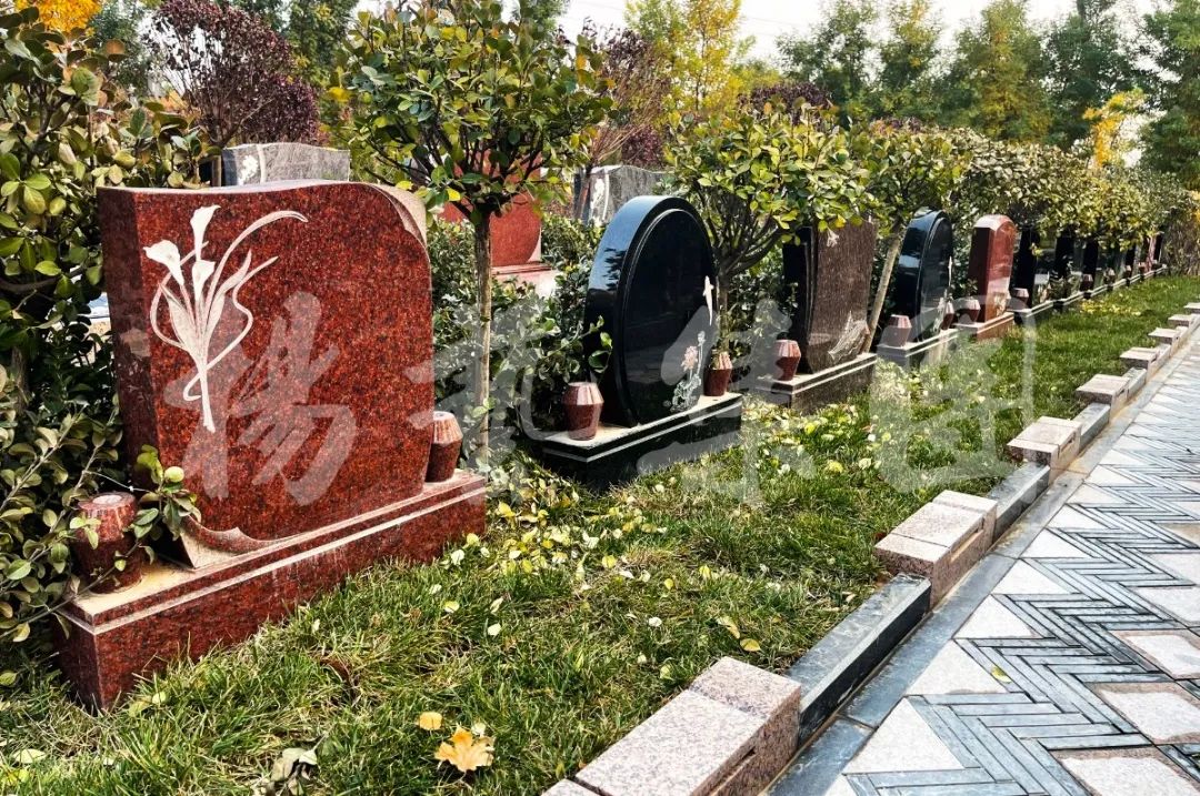 欧博abg(Allbet)官网登录入口