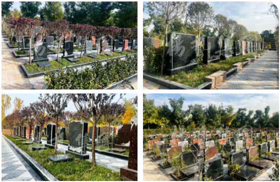 欧博abg(Allbet)官网登录入口