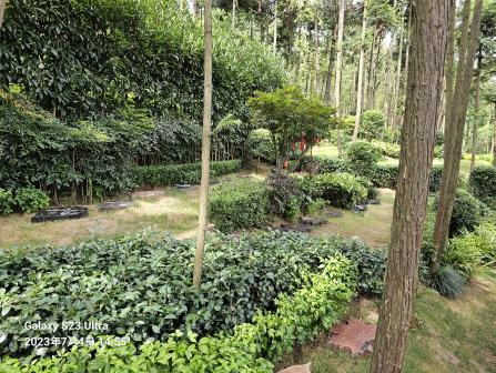 欧博abg(Allbet)官网登录入口