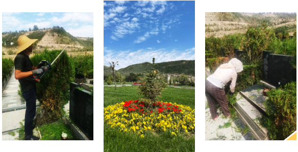 欧博abg(Allbet)官网登录入口