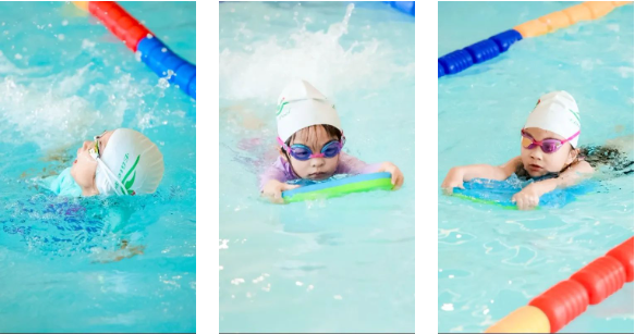 欧博abg(Allbet)官网登录入口