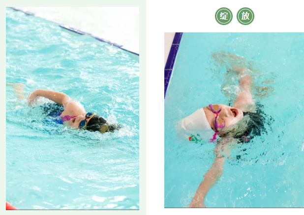 欧博abg(Allbet)官网登录入口