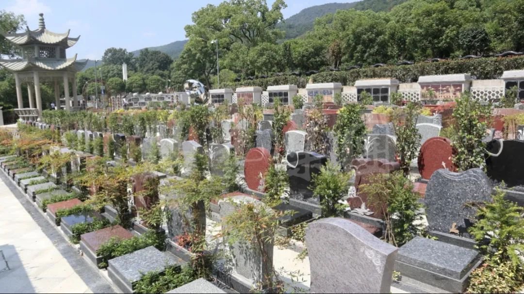 欧博abg(Allbet)官网登录入口