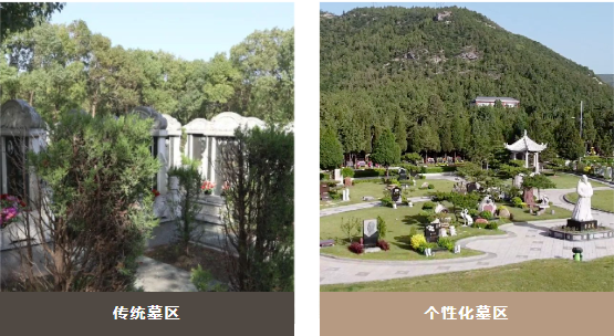 欧博abg(Allbet)官网登录入口