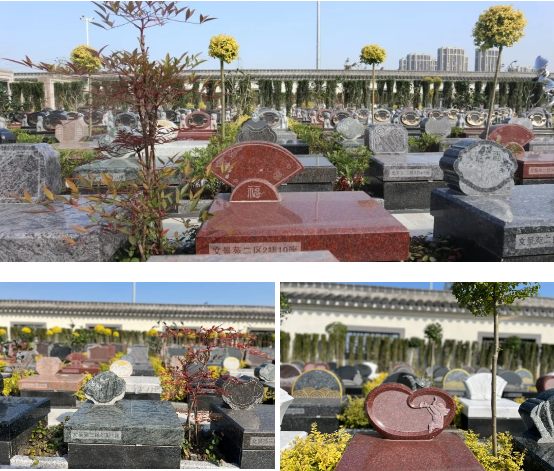 欧博abg(Allbet)官网登录入口