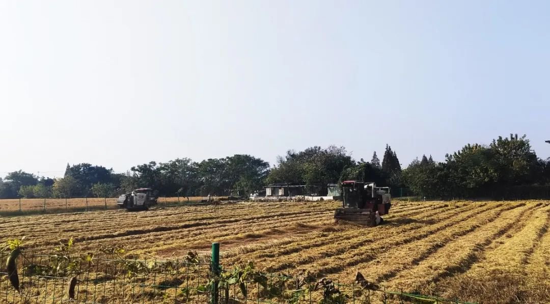 欧博abg(Allbet)官网登录入口