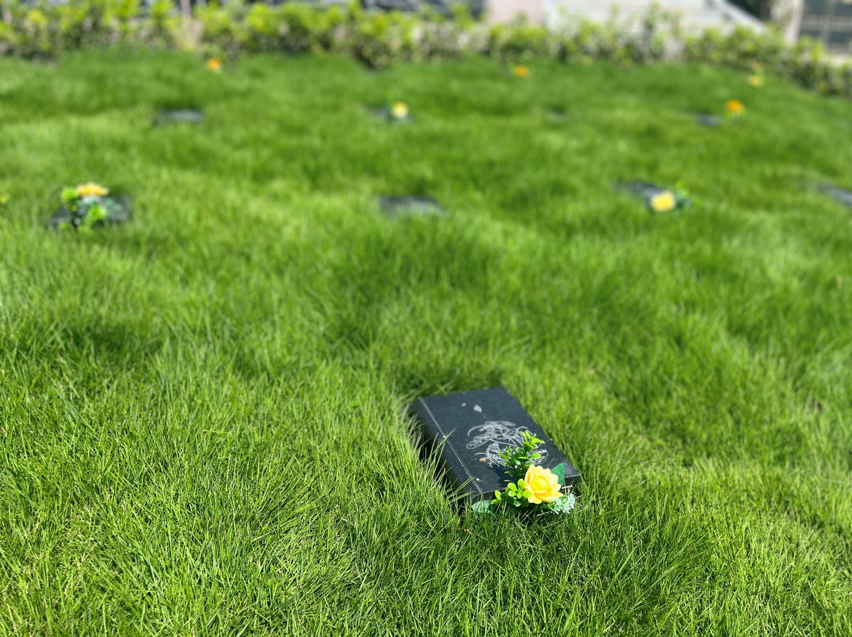 欧博abg(Allbet)官网登录入口