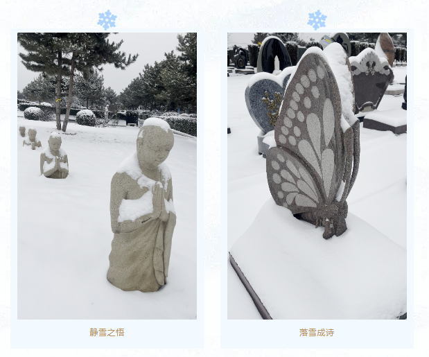 欧博abg(Allbet)官网登录入口