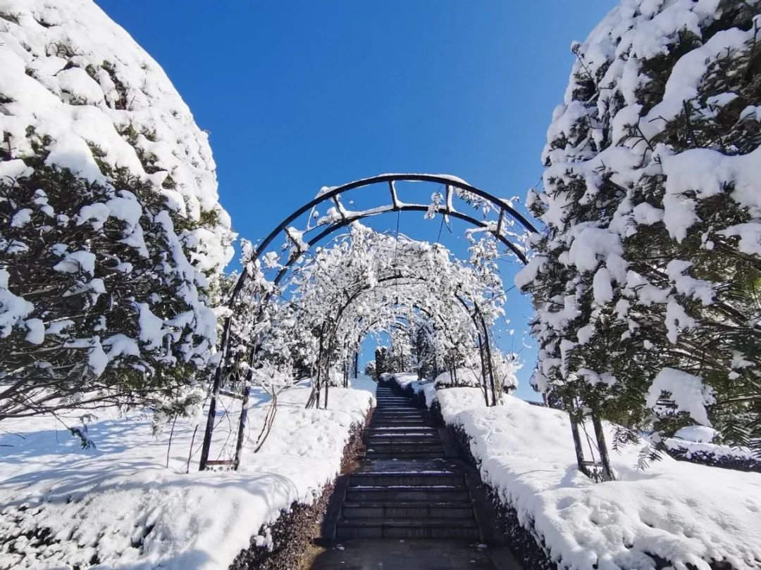 欧博abg(Allbet)官网登录入口