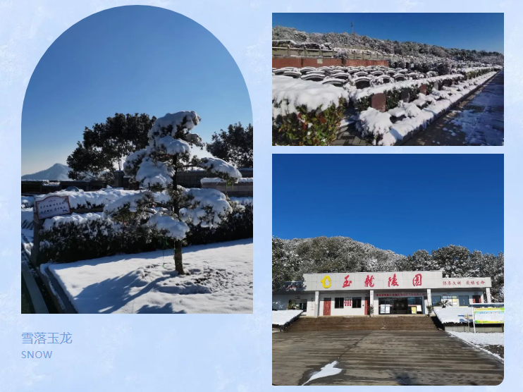 欧博abg(Allbet)官网登录入口