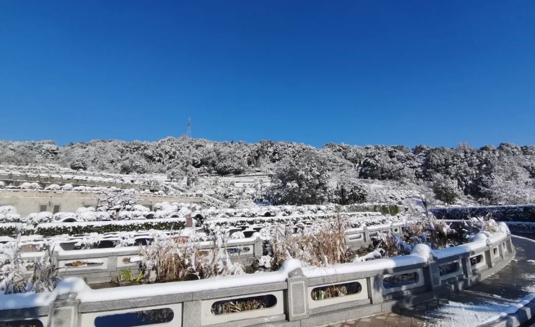 欧博abg(Allbet)官网登录入口