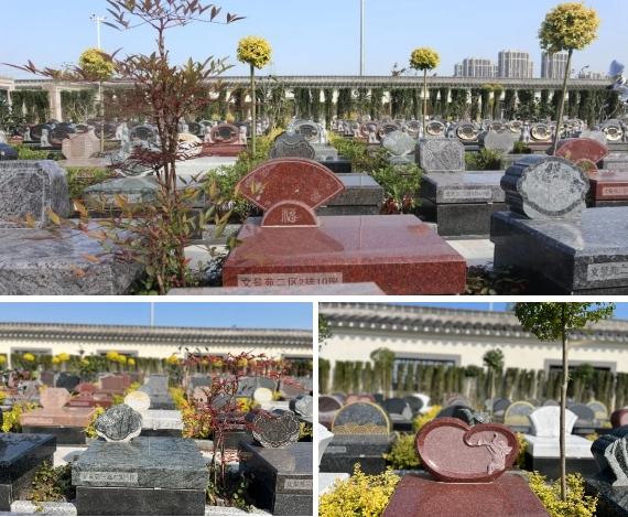 欧博abg(Allbet)官网登录入口