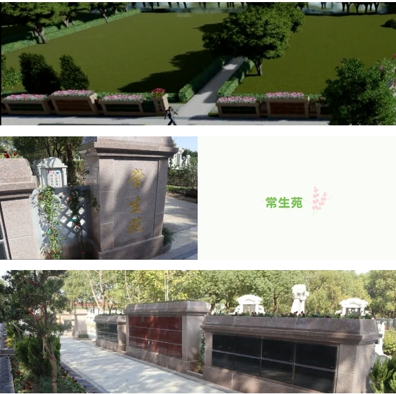 欧博abg(Allbet)官网登录入口