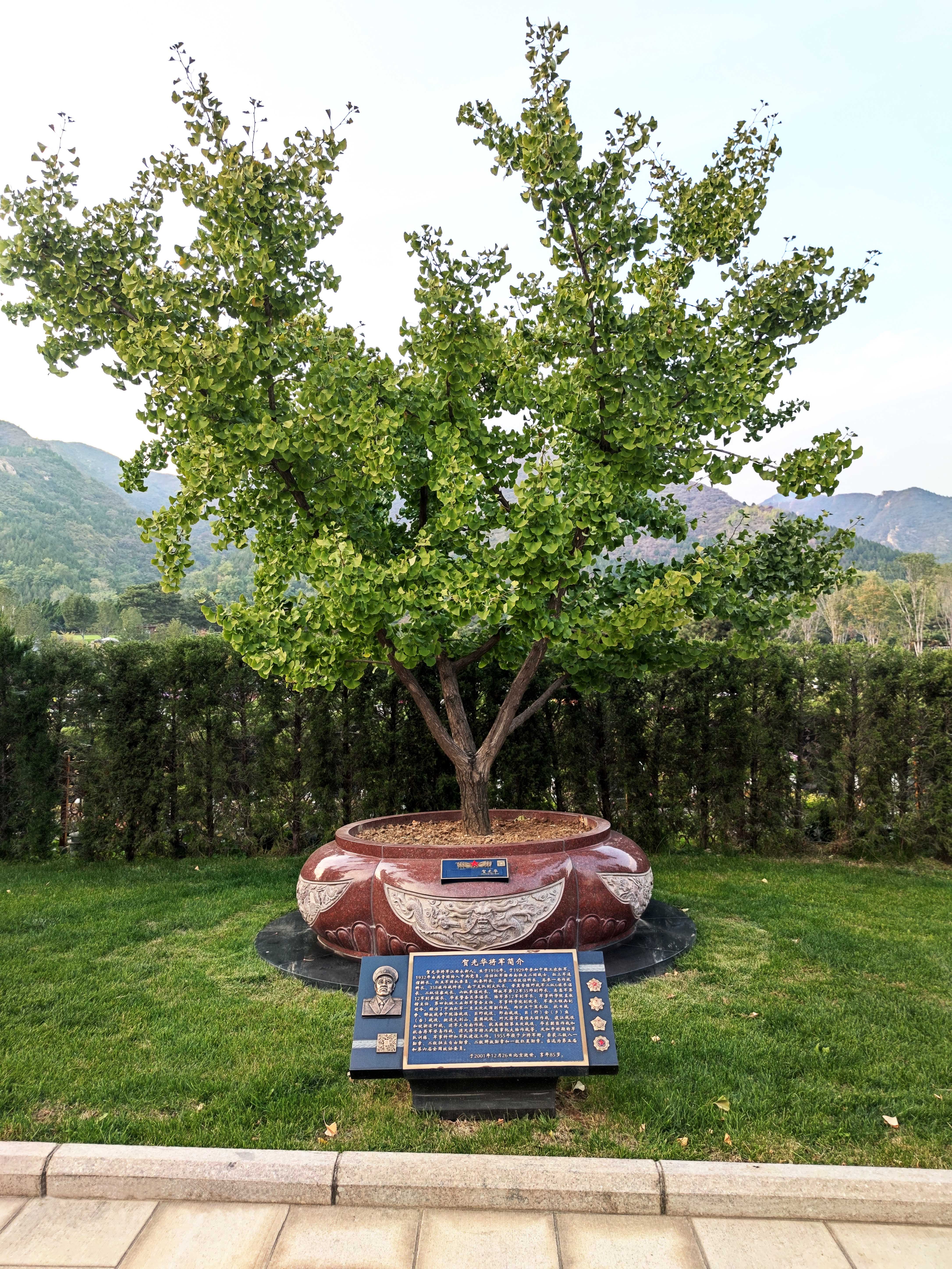 欧博abg(Allbet)官网登录入口