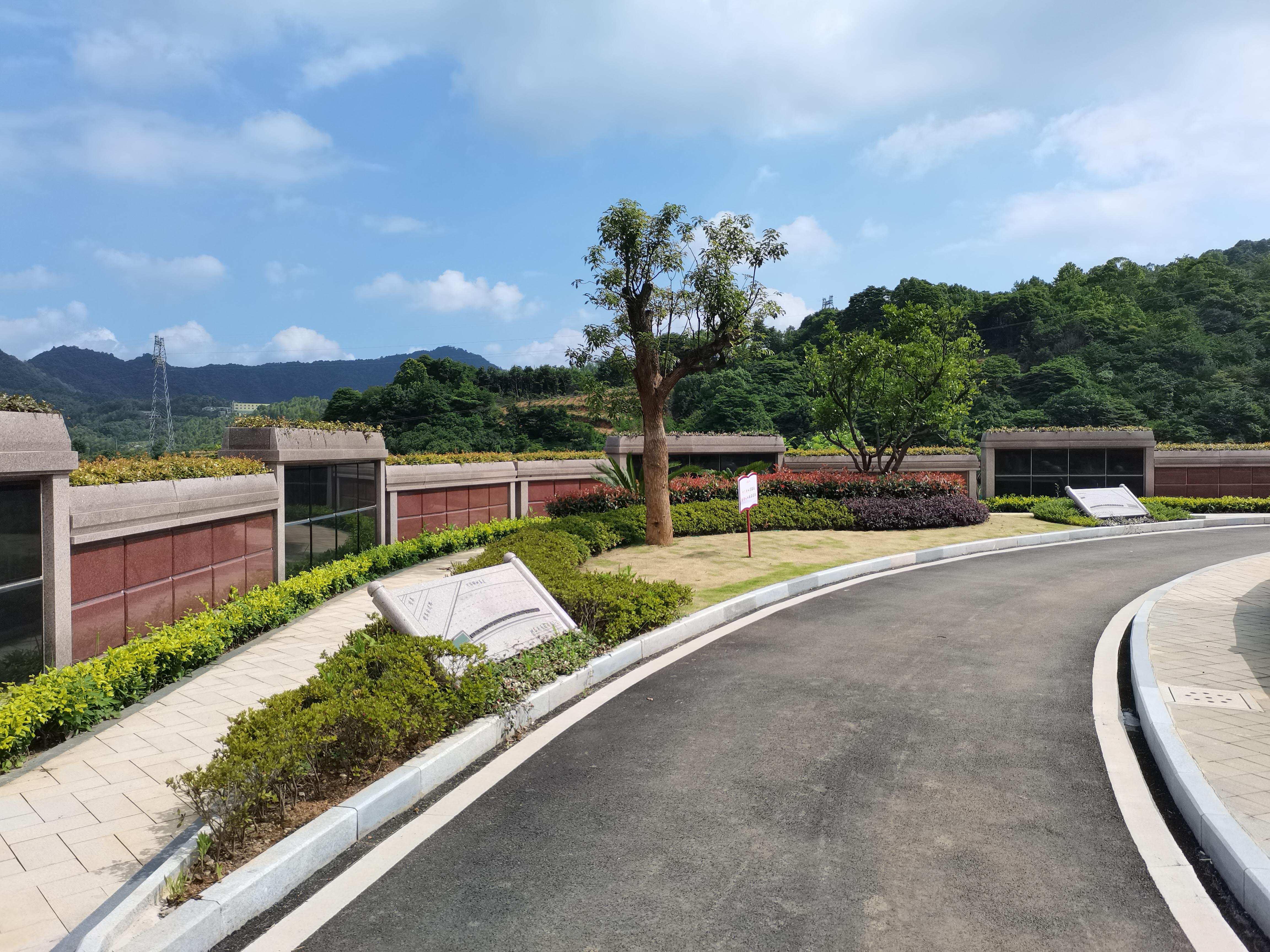 海葬和树葬哪个好？两种生态葬祭方法的选择与意义