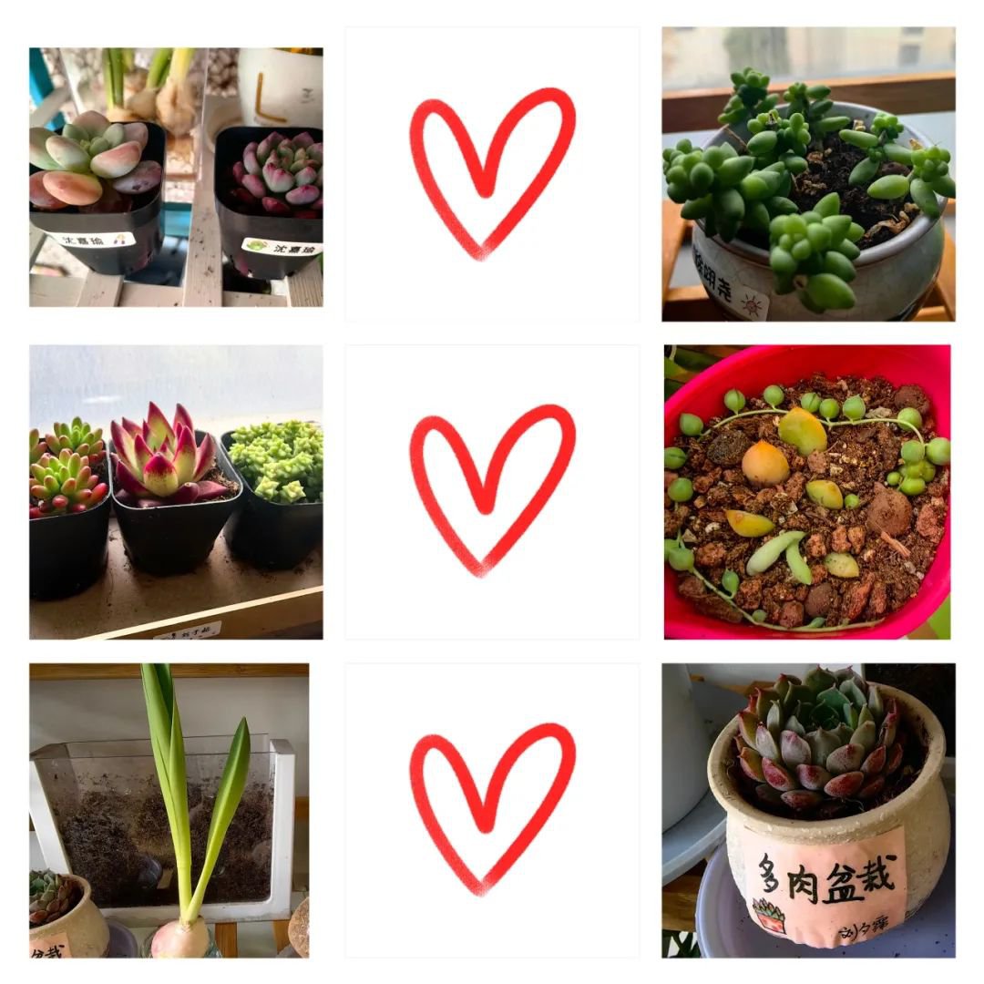 欧博abg(Allbet)官网登录入口