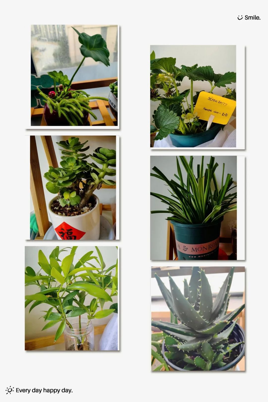 欧博abg(Allbet)官网登录入口