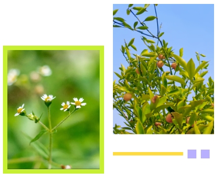 欧博abg(Allbet)官网登录入口