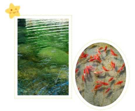 欧博abg(Allbet)官网登录入口