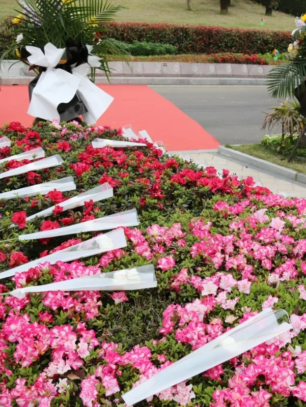 欧博abg(Allbet)官网登录入口