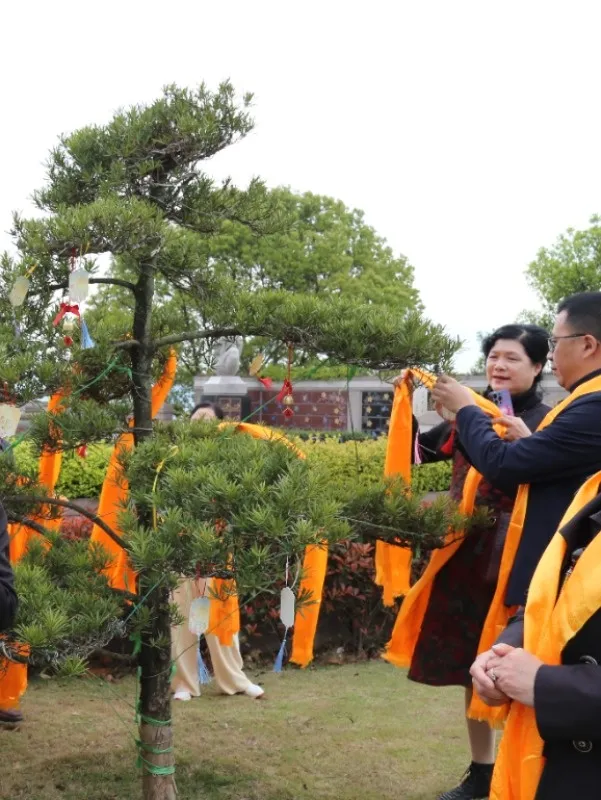 欧博abg(Allbet)官网登录入口