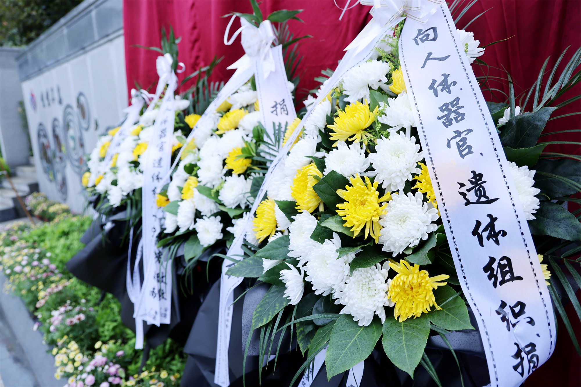 欧博abg(Allbet)官网登录入口