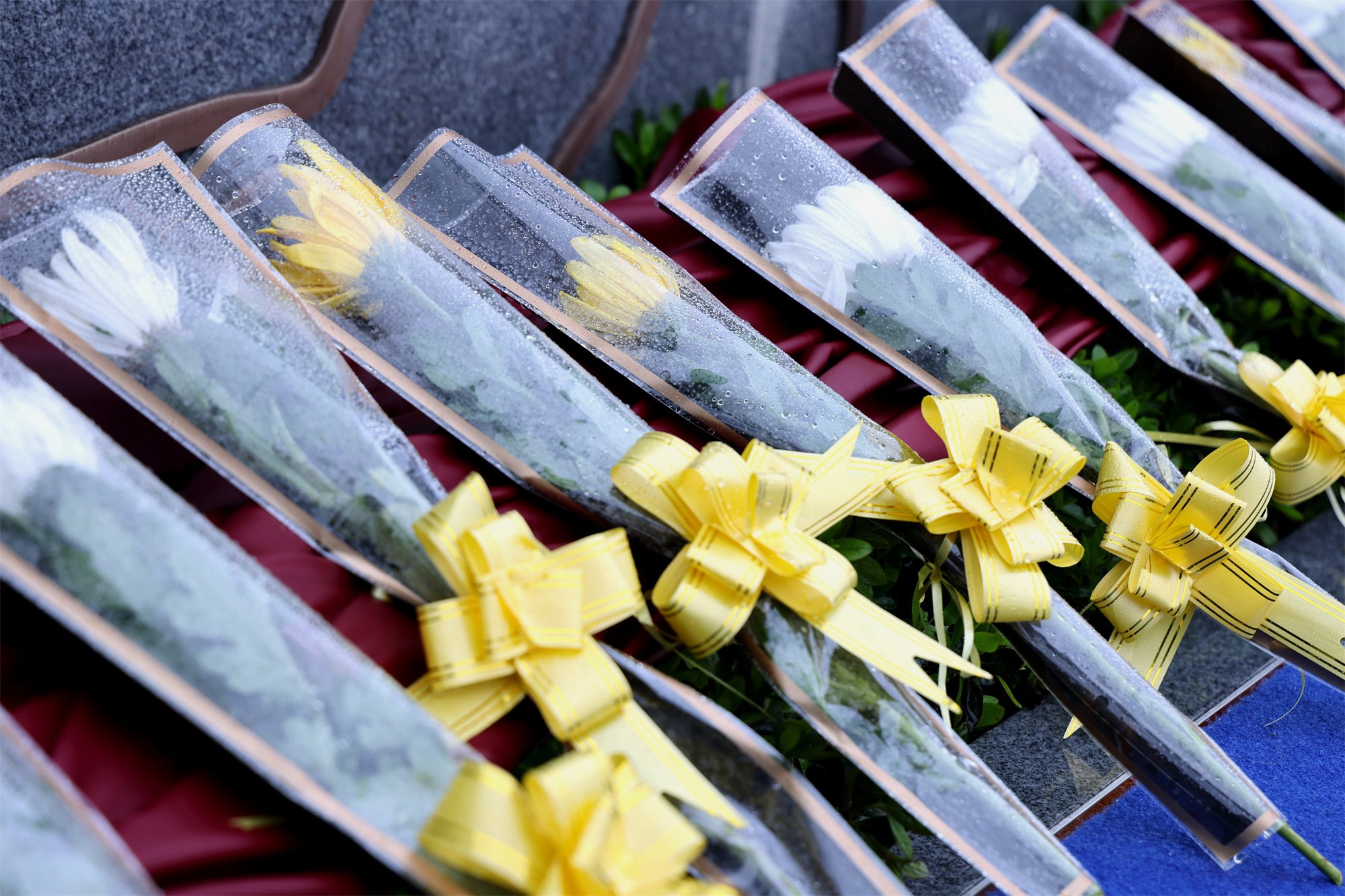 欧博abg(Allbet)官网登录入口