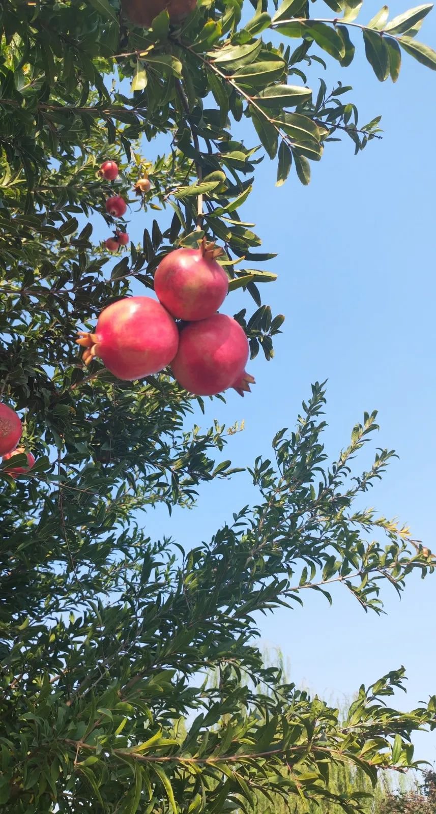 欧博abg(Allbet)官网登录入口