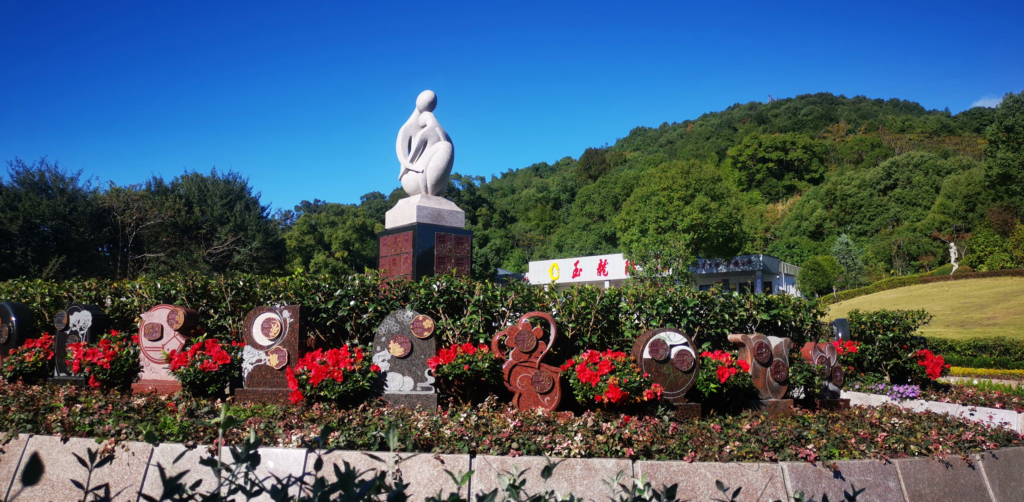 未来，生态葬或将成为主流