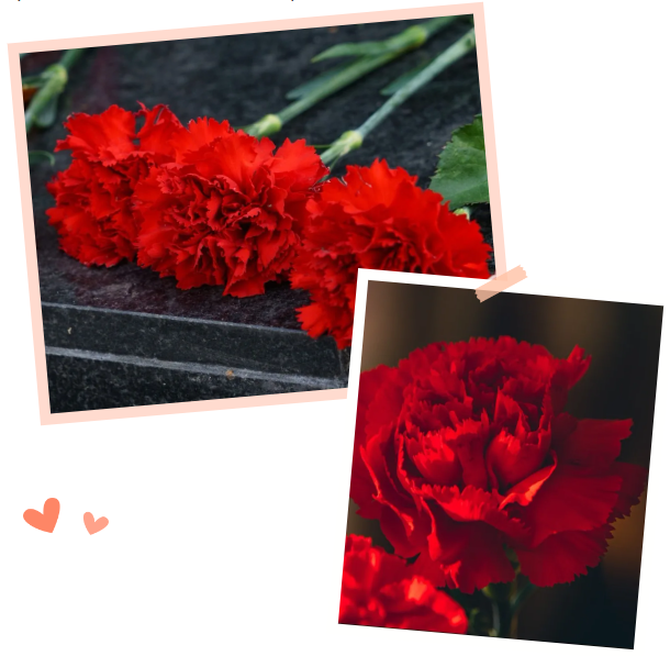 欧博abg(Allbet)官网登录入口