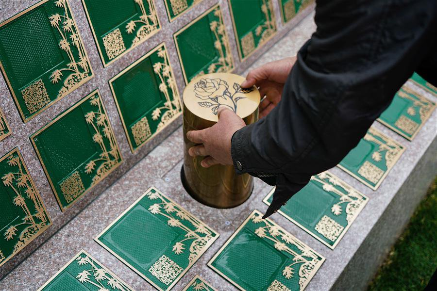 欧博abg(Allbet)官网登录入口