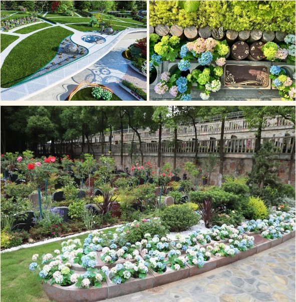 欧博abg(Allbet)官网登录入口