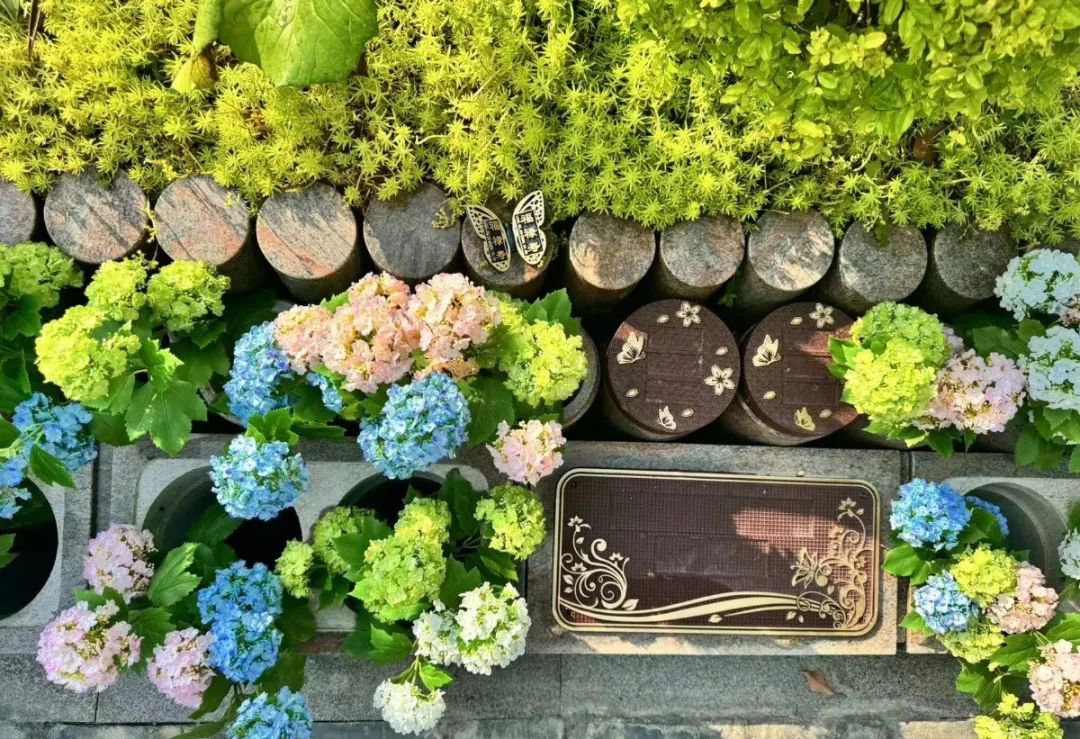 欧博abg(Allbet)官网登录入口