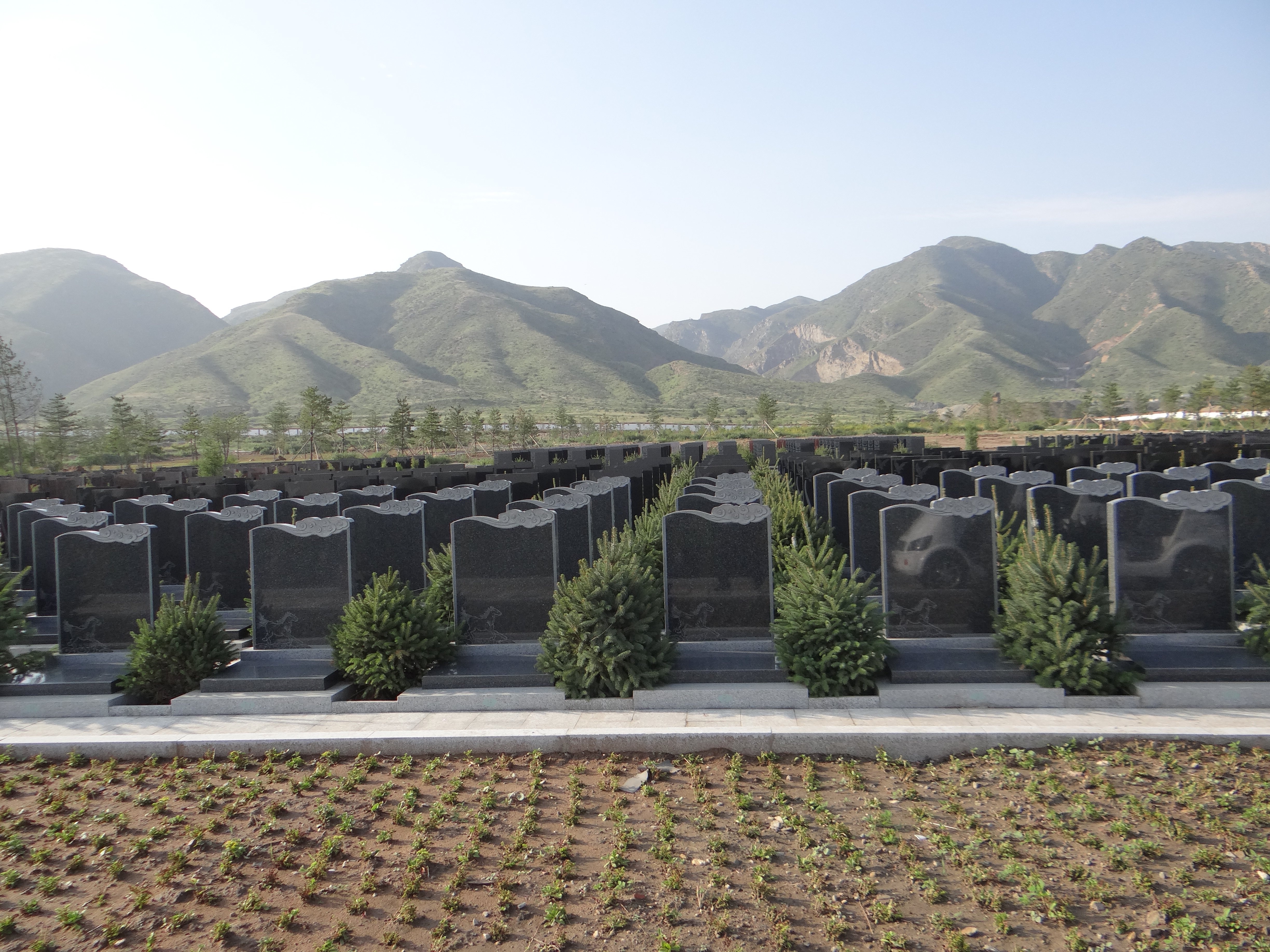 欧博abg(Allbet)官网登录入口