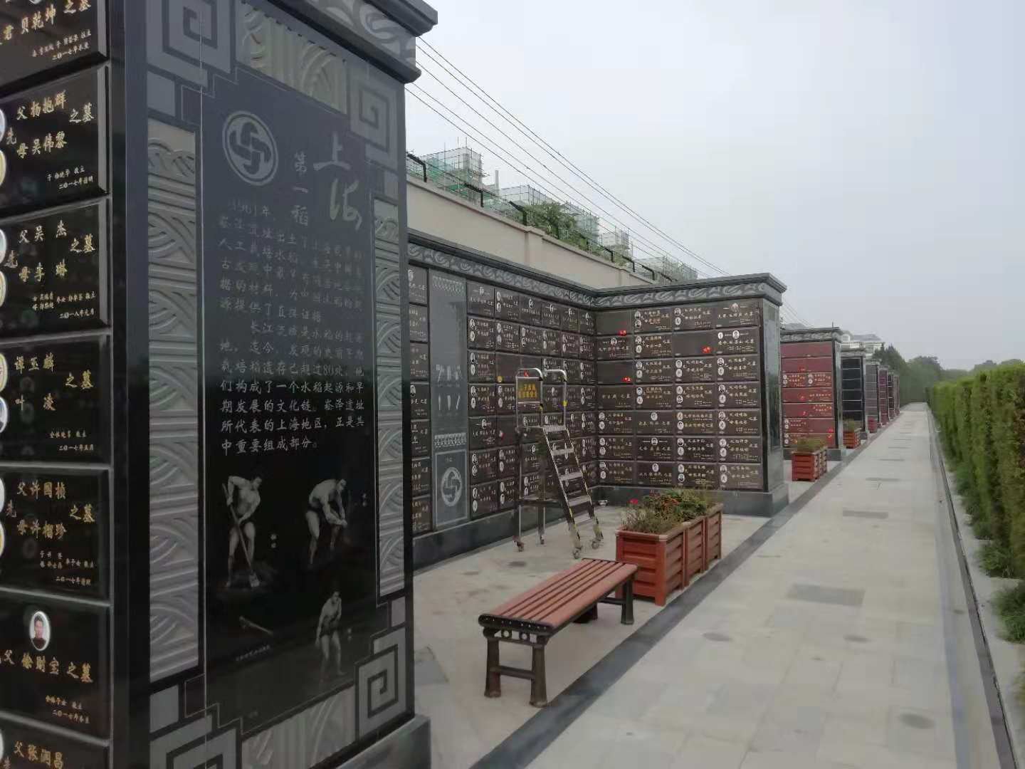 欧博abg(Allbet)官网登录入口