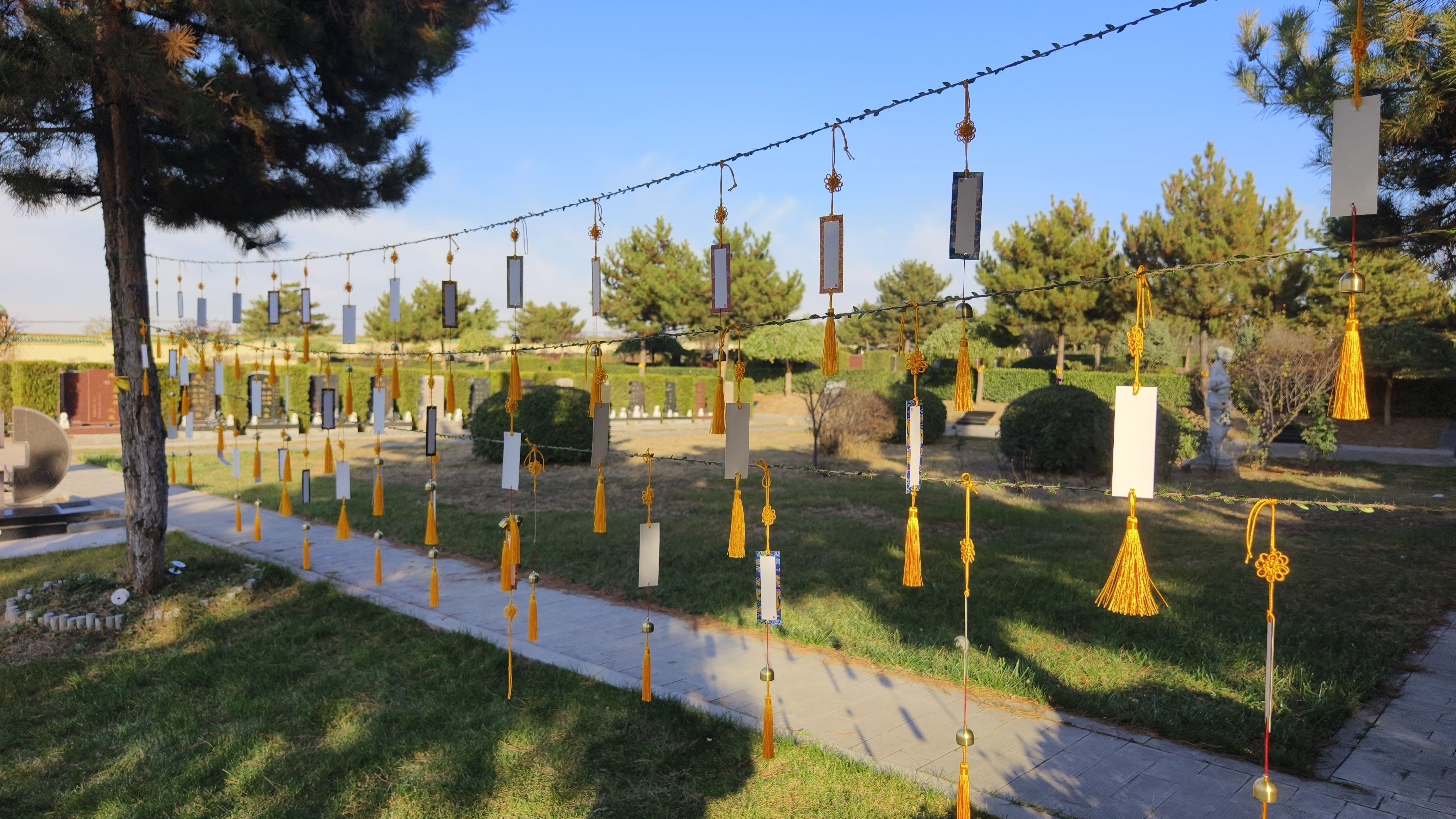 欧博abg(Allbet)官网登录入口