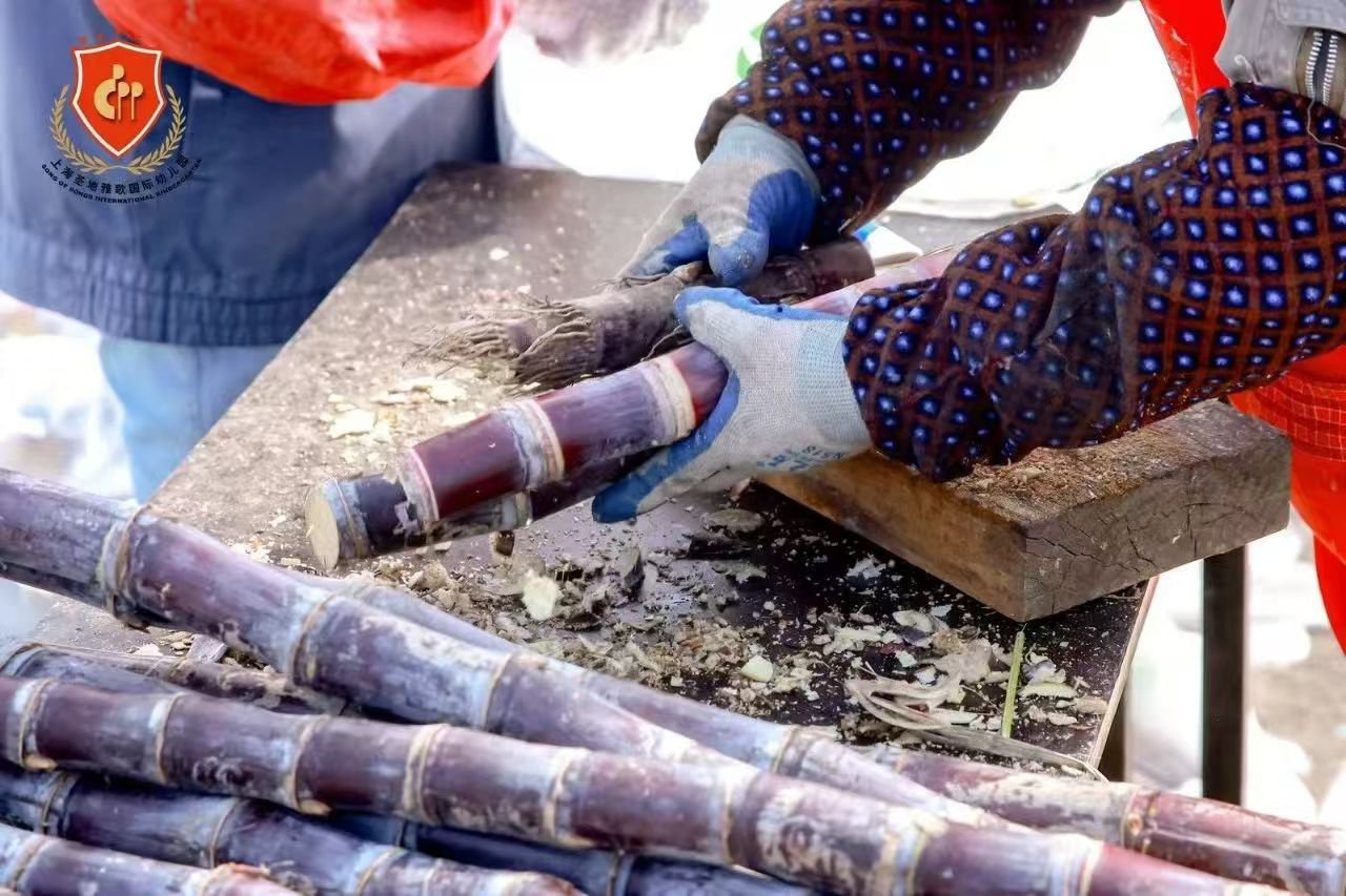 欧博abg(Allbet)官网登录入口