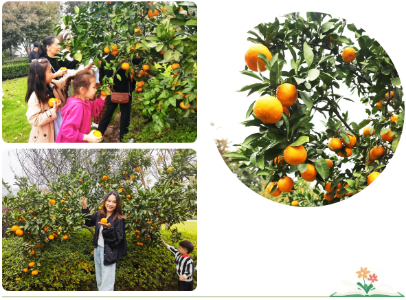 欧博abg(Allbet)官网登录入口