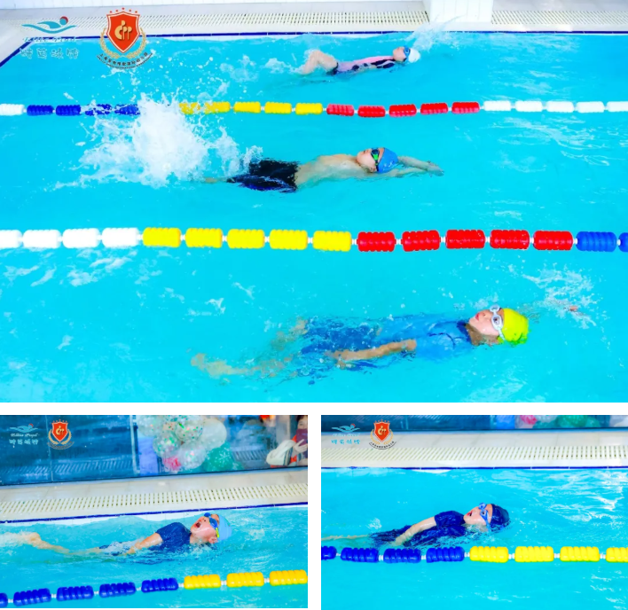 欧博abg(Allbet)官网登录入口