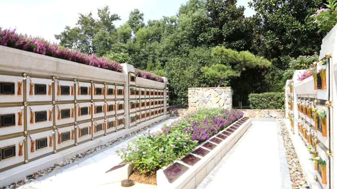 欧博abg(Allbet)官网登录入口