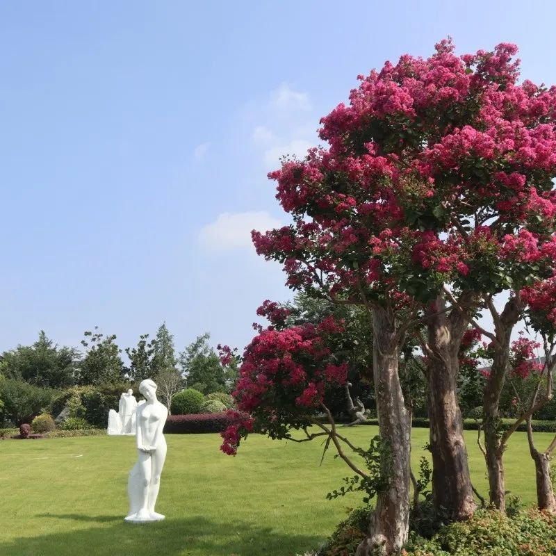 欧博abg(Allbet)官网登录入口