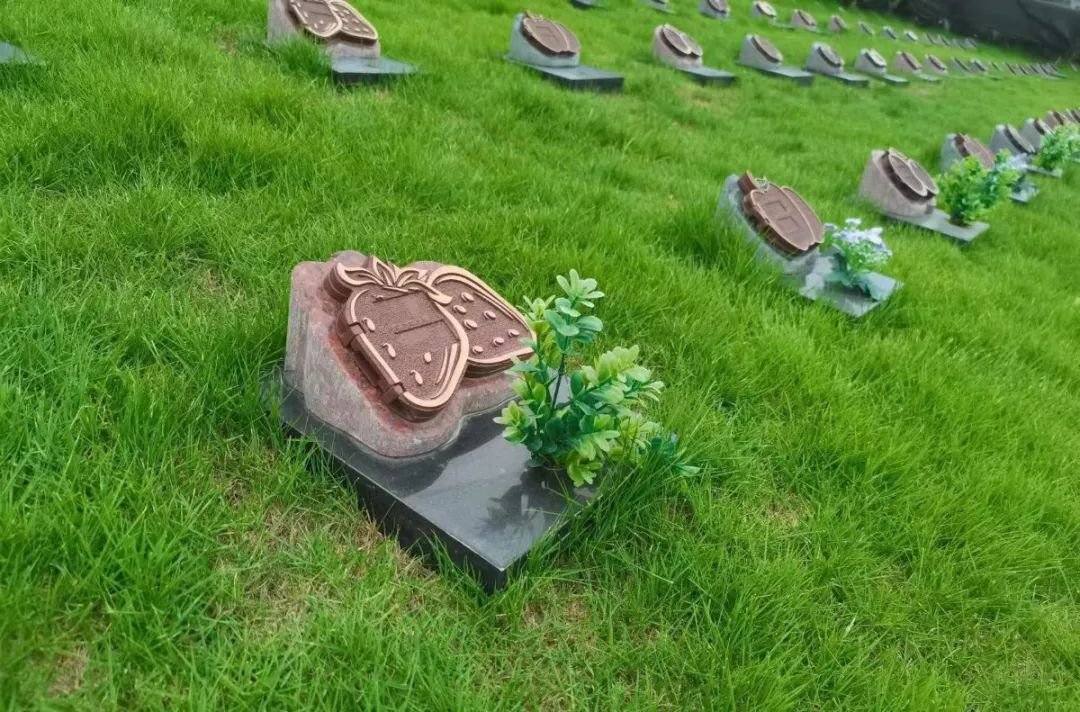 欧博abg(Allbet)官网登录入口