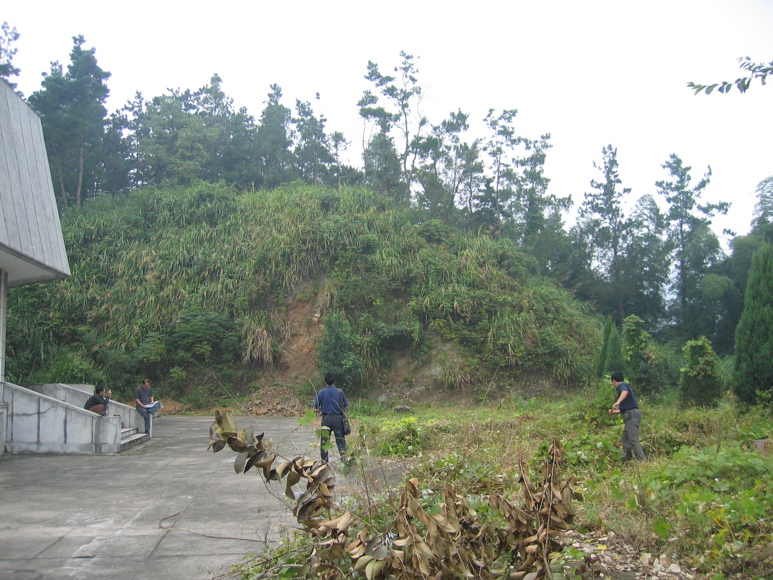 欧博abg(Allbet)官网登录入口