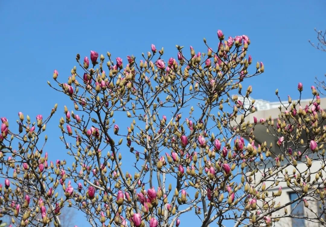 欧博abg(Allbet)官网登录入口