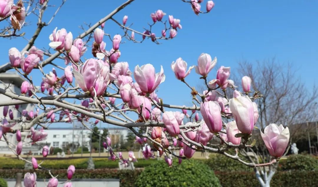 欧博abg(Allbet)官网登录入口