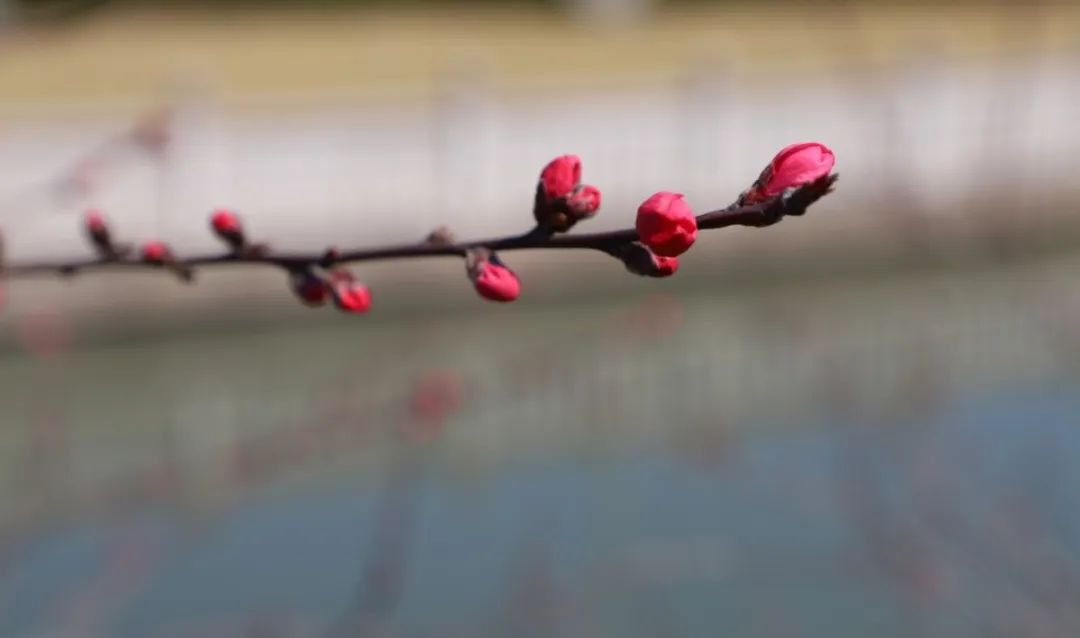 欧博abg(Allbet)官网登录入口