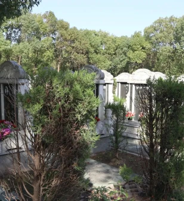 欧博abg(Allbet)官网登录入口