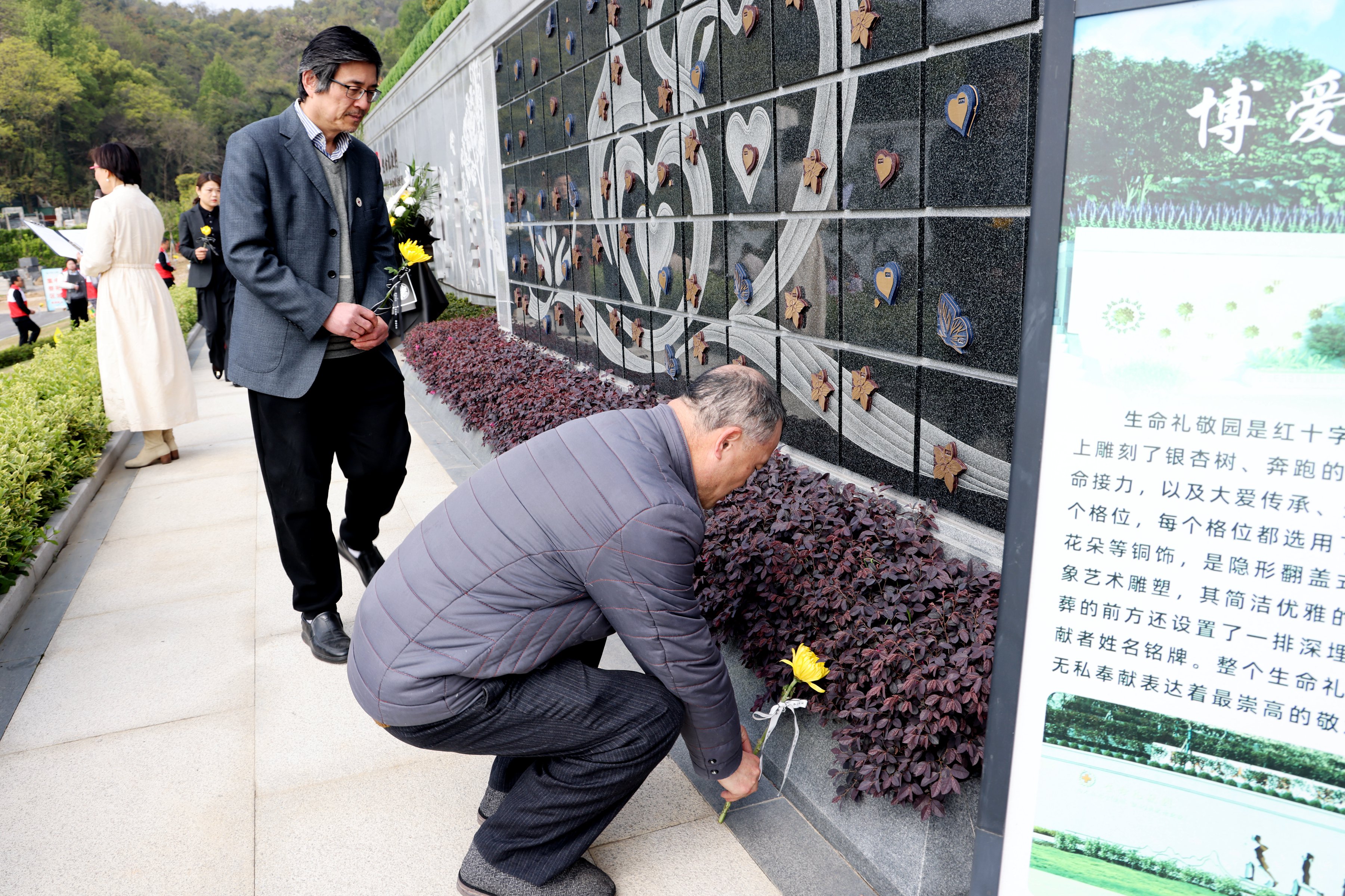 欧博abg(Allbet)官网登录入口